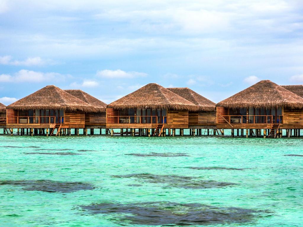 Cocoon Maldives swim up hotel
